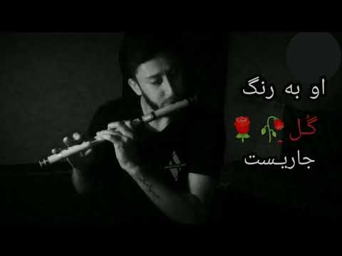 توله عاشقانه آرام حاصل من از دنیا