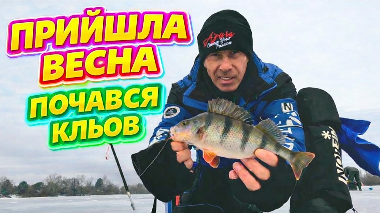 🟡 ОКУНЬ НА БЕЗМОТИЛКУ ПО ОСТАННІЙ КРИЗІ 🟡