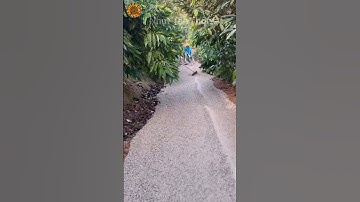 Đổ đường bê tông kiểu mới lạ