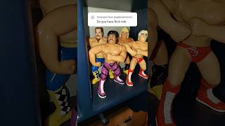 Do you have Rick Rude?  #wwe #wwewrestler #subscribe #wrestling #collection #hasbro #ravishing