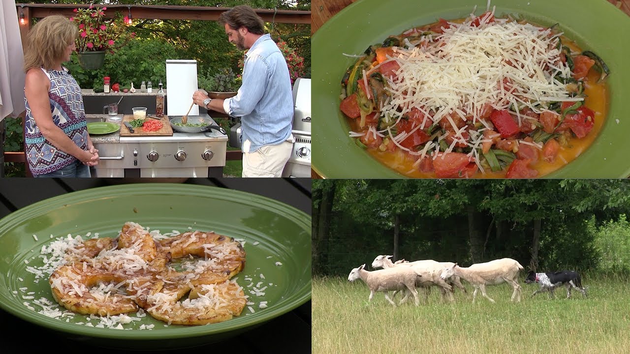 Zucchini Noodle Pasta, Grilled Pineapple and Training Border Collies ...
