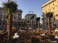Milano come Miami: in piazza Duomo arrivano le palme di Starbuck! Breaking News Ultime Notizie