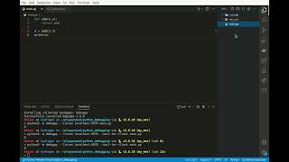 debug python inside docker using debugpy and vscode
