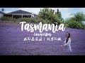 【Vlog】塔斯馬尼亞 - 朗塞斯頓之旅 Tasmania - Launceston | 浪漫薰衣草花園。 Bridestowe Lavender Estate