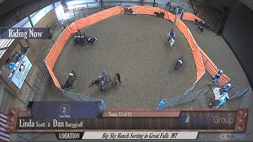 Big Sky Ranch Sorting Saddle Series #3 - Beginner Sort - Round #1 - Ride #13