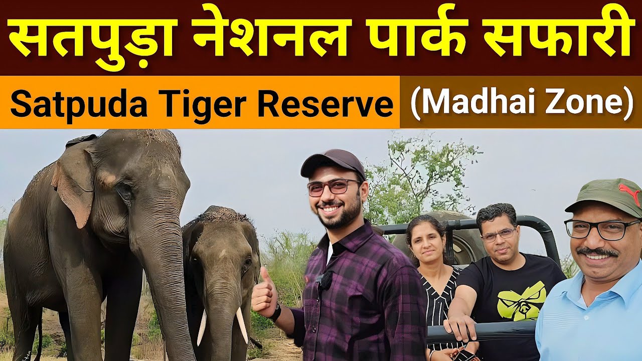 Satpuda National park  Wildlife Safari  Madhai Zone  Satpuda Tiger Reserve  Wildlife sanctuary