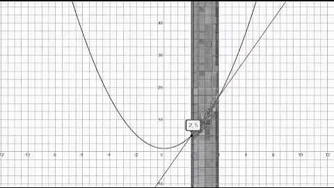 Optimality Conditions and Duality