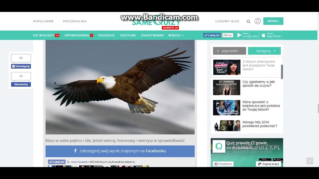 Quizy Same Historia Sprawdzian Klasa 7 19 Wiek Same Quizy#1-,, Zwierzęta'' - YouTube