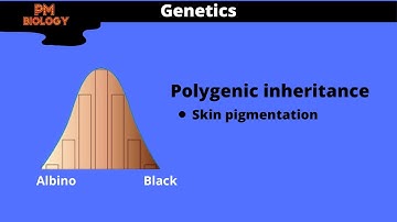Polygenic Inheritance Class 12 | Genetics | PM Biology