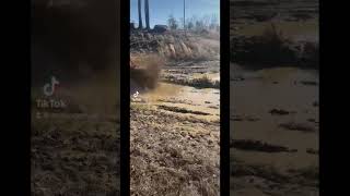 Can am 650 xmr
