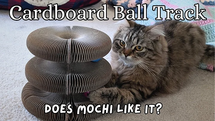 Watch the video about Jupiter Cat Accordion Scratcher Review with Mochi | Siberian Cat