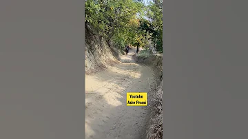 Horse Gallop With Real Sound Horse Running Real Sound Ashvpremi 