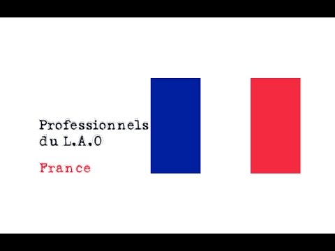 Paroles de professionnels du LAO (Croix rouge française)