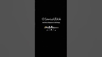 سورة الأنعام #القران_الكريم #راحة_نفسية #اكسبلور #الرحمن #لايك #دويتو