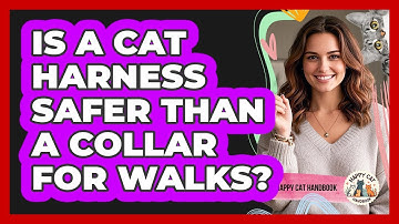 Is A Cat Harness Safer Than A Collar For Walks? - Happy Cat Handbook