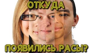 Откуда появились РАСЫ? История человечества.