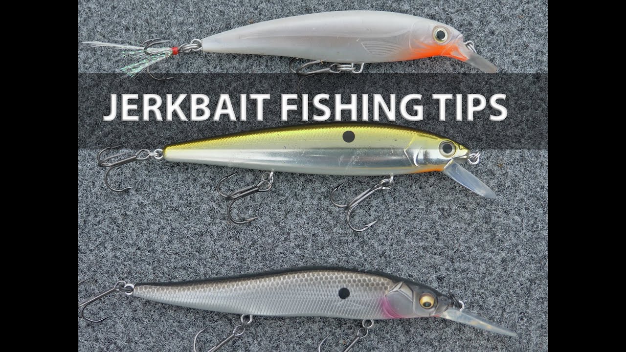 Shallow Jerkbait Techniques: Targeting Suspended Bass on Lake Fork