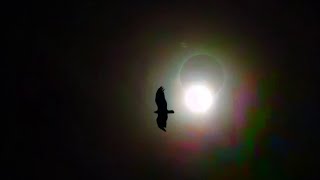 Totality - Ohio Solar Eclipse - 4.8.2024 (Samsung Galaxy S21)