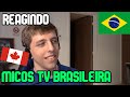 GRINGO reage a MICOS da TV BRASILEIRA