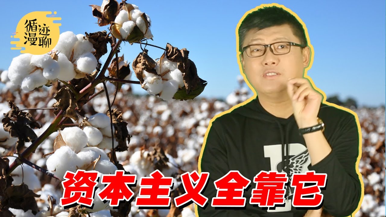 袁腾飞聊棉花:小小一支棉,千年血泪史