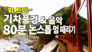 80분간 4K 초고화질 기차풍경과 기차소리, 감성힐링음악으로 멍때리며 수면유도하기! TV로 보면 더 좋은 영상! #수면유도, #기차여행, #asmr