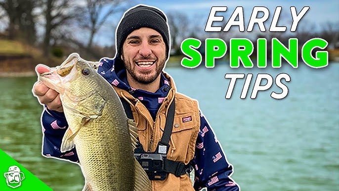 The TOP Bass Lures For After The Ice Melts Or A Shad Kill 