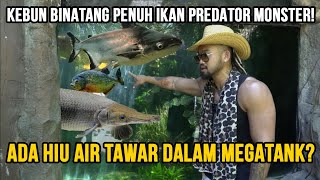 ASTAGA ! KEBUN BINATANG INI PENUH IKAN PREDATOR MONSTER ! ADA HIU AIR TAWAR DALALM MEGATANK ! #bali