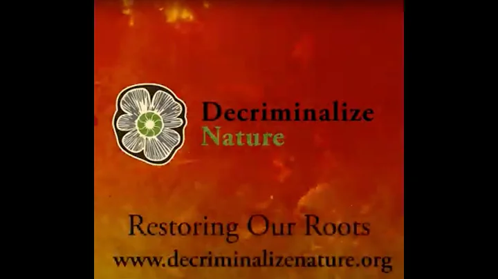 Decriminalize Nature Introduction with Stiner Bros...