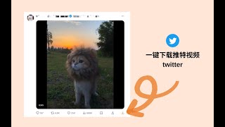twitter推特视频怎么下载？用这个方法几秒搞定，超简单