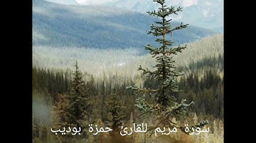 تلاوة خاشعة من سورة مريم بصوت القارئ حمزة بوديب اسمع بقلبك❤️