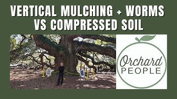 Improving Compressed Soil with Vertical Mulching and Worm Technology.