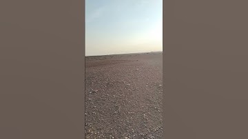 ما تيسر من سورة المؤمنين #القرآن_الكريم