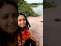 squirrel in Radha Mandir Vrindavan ❤️❤️❤️❤️❤️#youtubeshorts #viral #radhakrishna #vrindavandham