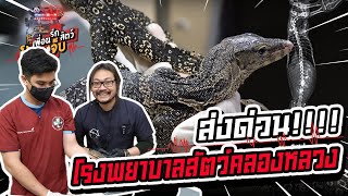 ส่งด่วน!! โรงพยาบาลสัตว์คลองหลวง - เพื่อนรักสัตว์โอ๊ย..เจ็บ EP.50