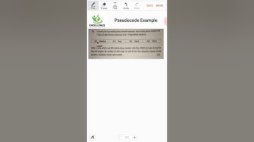 Pseudocode Example 1