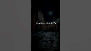 خَلَقَ ٱلسَّمَـاوَ اتِ بِغَیۡرِ عَمَدࣲ تَرَوۡنَهَا | محمد صديق المنشاوي |سورة لقمان