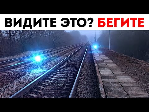 Видео: 25 случайных фактов, которые звучат как BS, но полностью верны.