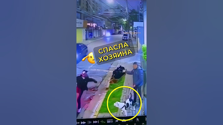 Спасла хозяина 🐶 #собака #спасение #защита #нападение #защитник