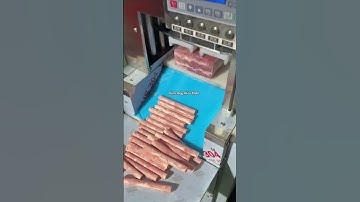 MÁY THÁI THỊT CÔNG NGHIỆP SK2 I MÁY THÁI THỊT ĐÔNG LẠNH CHẤT LƯỢNG CAO