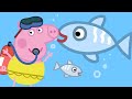 Peppa Pig en Español 💧 Dia Mundial del Oceano | Episodios completos | Pepa la cerdita