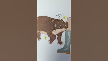 Moooo Deeeenggg!!! 🦛🦛🦛🦛🦛 #hippo #moodeng #drawing #art #artjournal #หมูเด้ง