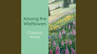 Vivaldi: Concerto for Strings in D Minor, RV 129 Madrigalesco: III. [Allegro]