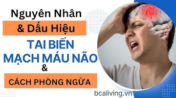 ✅Nguyên Nhân Dấu Hiệu và Cách Phòng Ngừa Đột Quỵ Do Bệnh Tim Mạch | Công Dụng Của Nhân Sâm Canada