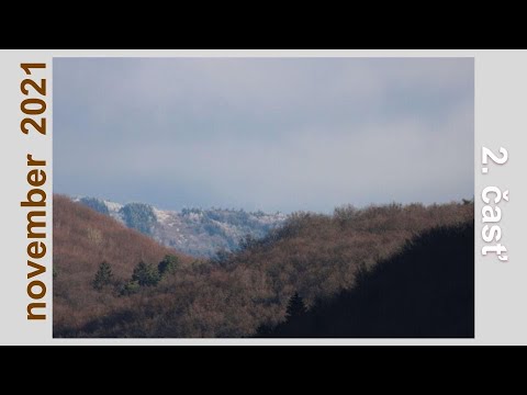 Video: TV Nad Krbem (47 Fotografií): Dekorativní Elektrický Krb Na Jedné Stěně S TV V Interiéru Obývacího Pokoje A Haly