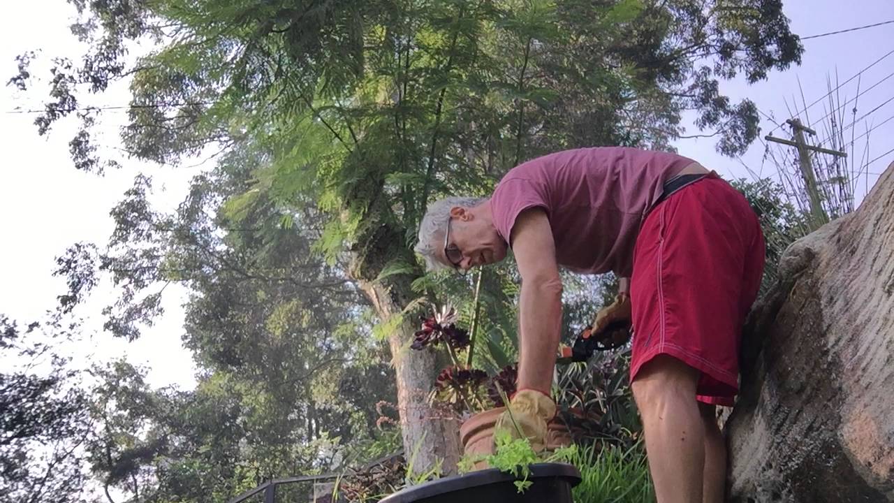 Andrew Barnes test upload 16mins