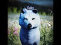 Choose your character! #wolves #wolfquest