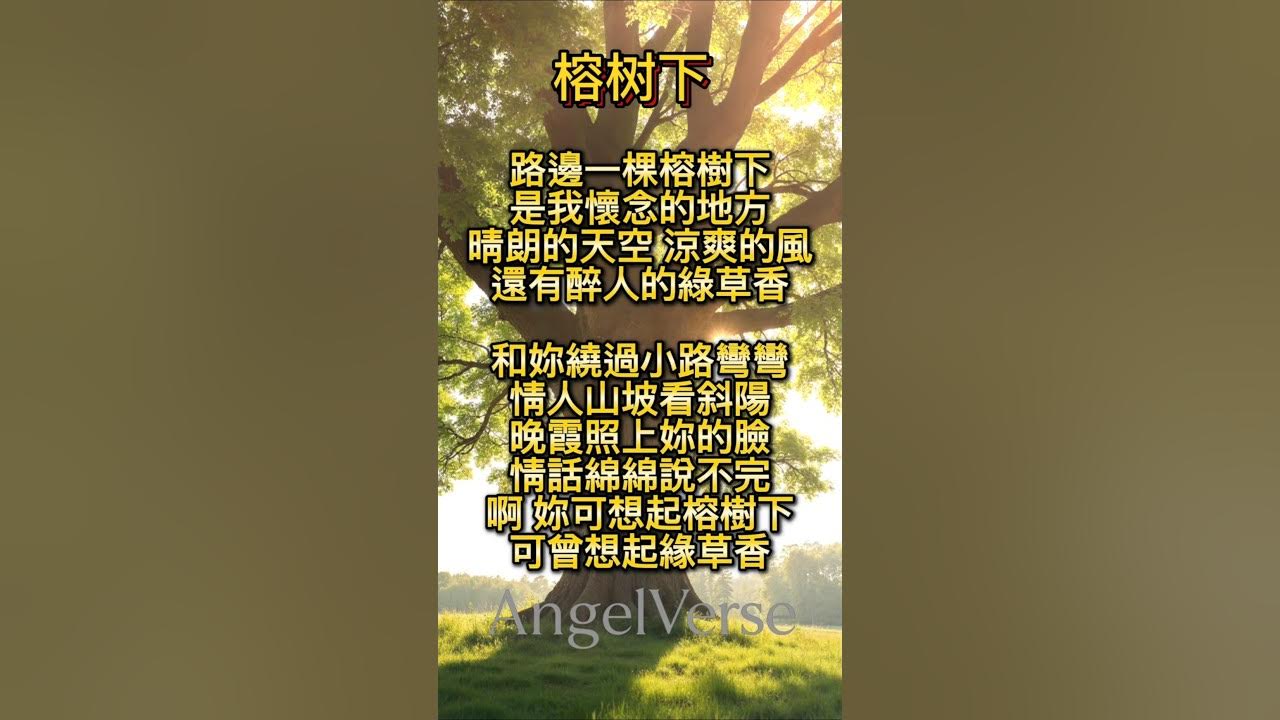 榕树下 - 余天 #mandarinsong 榕树下 - 余天 #mandarinsong