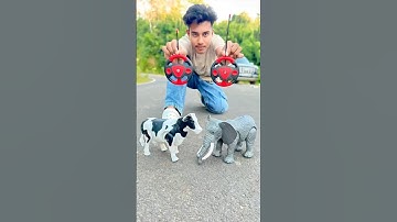 Remote Control Amar Notun 1 Ta Cow 🐄 & 1 Ta Elephant 🐘 Unboxing