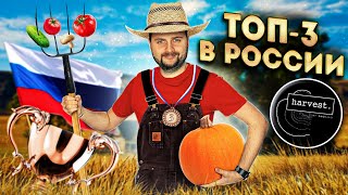 Ресторан из ТОП-3 лучших в России (официально) / НЕДОРОГО и ВКУСНО / Обзор Harvest - Санкт-Петербург