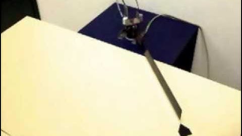 Flexible link robot control